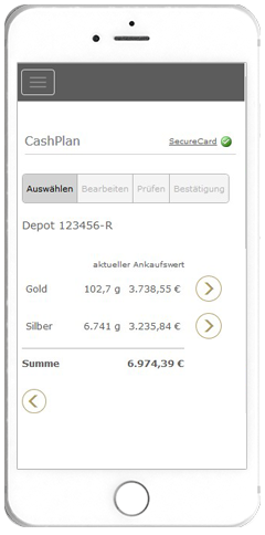 Cash-Plan - ställa in en gång - betala regelbundet
